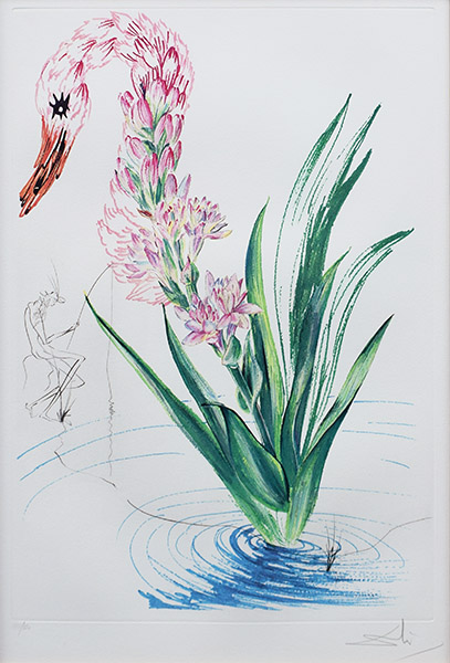 新作入荷人気真作 サルバドール・ダリ「シュールリアリスティックな花」より『チューベローズと植物的な白鳥』　銅版画◎額装 直筆サイン 1972年 銅版画、エッチング